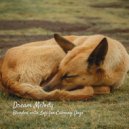 Lofiwaala & Dream Dogs & Dog Calming Music All-stars - Soothing Sounds ()