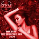 Djs Vibe - The Seducing Mix 2025 ()