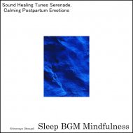 Sleep BGM Mindfulness - Soothing Moments in a Journey of Deep Relaxation for Rest