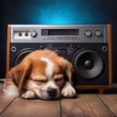 Blissful Lofi Time & Gentle Lofi Calm & Gentle Rest Lofi - The Paws of Peace in the City