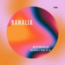 J9 - Pajaria (J9 Remix)