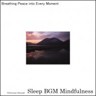 Sleep BGM Mindfulness - Neural Harmonies Serenade, Offering Solace from Sleep Disruptions