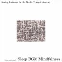 Sleep BGM Mindfulness - Rhythmic Whispers of Sleep Waves (Original Mix)