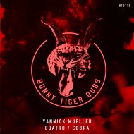 Yannick Mueller - Cobra