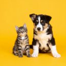 Musicoterapia para el cuidado de mascotas & Ballenas sónicas & Entrenamiento de ondas cerebrales de  - Suaves Patitas, Barras Suaves