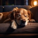 Terapia musical para el alma animal & Sonidos etéreos para seres & Sonidos para la paz animal - Música De Orquesta Para La Paz De Las Mascotas ()