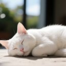 Soft Cat Music & Harmonious Cats & Perfect Cat Music - Soft Lofi Cats’ Comfort ()