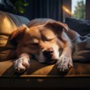 Radio Canina Relajante & Música de spa para perros & Academia de Música para Perros - Terapia Canina Con Orquesta Tranquila