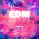 Firevolt, PROGRAMIQA - EDM Nation #12 ()