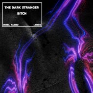 The Dark Stranger - Bitch