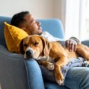 Ecos Tranquilos & Melodas Serenas & Noches Acogedoras - Melodas Lofi De Calma Para Perros ()