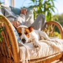Pasin por Viajar & Vibraciones Vintage & Paisajes Sonoros Relajantes - Msica Serena De Lofi Para Mascotas