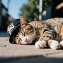 Music For Rehoming Cats & Music for your Cat & Nature Music for Cats - Cats Rest Hip Beats ()