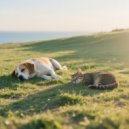 Pet Music Collection & Sunday Morning Music & Music for Dogs Prime - Pet Relax Gentle Beats ()