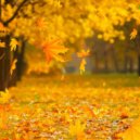 Osc Project - Falling Leaves