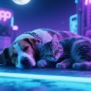 X-Ray Dog Music & Canine Sounds & Music for dog's joys - Calm Hip Hop Dogs