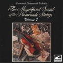 Promenade Strings and Orchestra - Moonbeams