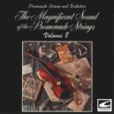 Promenade Strings and Orchestra - Heart of Spain