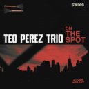 Teo Pérez, Dante Picca & Jerónimo Carmona - Stranger In Paradise (Original Mix)