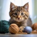 Relaxing Music for Cats Playlists & Relaxing Music for Cats Project & Relaxing Music for Cats Retro - Restful Moments In Soft Shadows