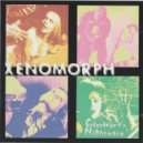 Xenomorph - Torrent Of Insanity (Original Mix)