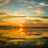 Osc Project - Summer Rise