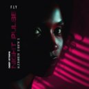 Fly - Night Pulse (Alexander Eighth\'s Remix)