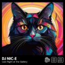 DJ Nic-E - Last Night at the Gallery (Original Mix)