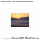 Sleep BGM Mindfulness - Melodic Embrace of Sleep\'s Euphoria (Original Mix)