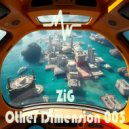 ZiG - Other Dimension (005)