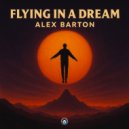 Alex Barton - Flying in a dream