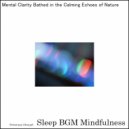 Sleep BGM Mindfulness - Brainwaves Flow, Bringing Solace to Nights Troubled by Insomnia