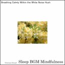 Sleep BGM Mindfulness - Soothing the Heart with Harmonious Slumber\'s Embrace (Original Mix)