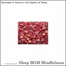 Sleep BGM Mindfulness - Journey Within with Melodies of Sound Therapy and Calm (Original Mix)