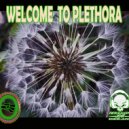 Fernando Zax Dj - Welcome To Plethora (Original Podcast)