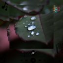 Xyphira Keltryx & ChaSe-Eun - Xolven Turzak (Original Mix)