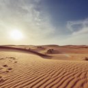 Osc Project - Desert Rose