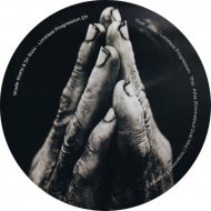 Wade Watts & Sir Rizio - Limitless Progression