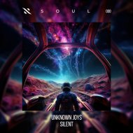 unknown joys - Silent