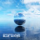 Roman Messer & Skyvol - Blue Water (Original Mix)