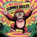 Ruud Huisman - Nu Disco Summer Breez (2025-01)