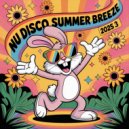 Ruud Huisman - Nu Disco Summer Breeze (2025-03)