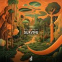 Dilby, DJ Rae - Survive (Extended Mix)