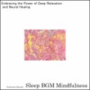 Sleep BGM Mindfulness - Basking In The Sound Healing Embrace of Night\'s Tranquility (Original Mix)