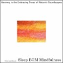 Sleep BGM Mindfulness - Journey Within Through Heartbeats In The Night (Original Mix)