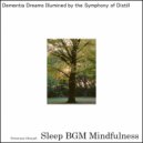 Sleep BGM Mindfulness - Harmony In The Night Skies With Sound Healing's Embracing Tunes