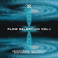 sub-Emerge - Receding Steps