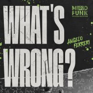 Angelo Ferreri - What\'s Wrong?