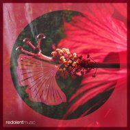 DJ Chus, Amira, NenaHalena - Prado\'s Revenge