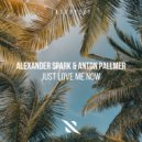 Alexander Spark, Anton Pallmer - Just Love Me Now (Original Mix)